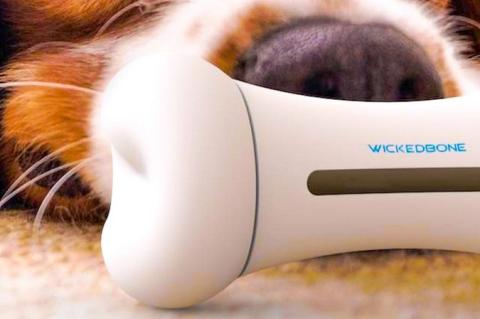 Für Wauzi heißt es gut aufgepasst, wenn sich der Bluetooth-Hundeknochen per App-Steuerung plötzlich selbständig macht.